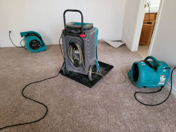 Best Basement water damage restoration  in Great Neck, NY