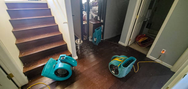 Best Water damage restoration mold remediation  in Great Neck, NY