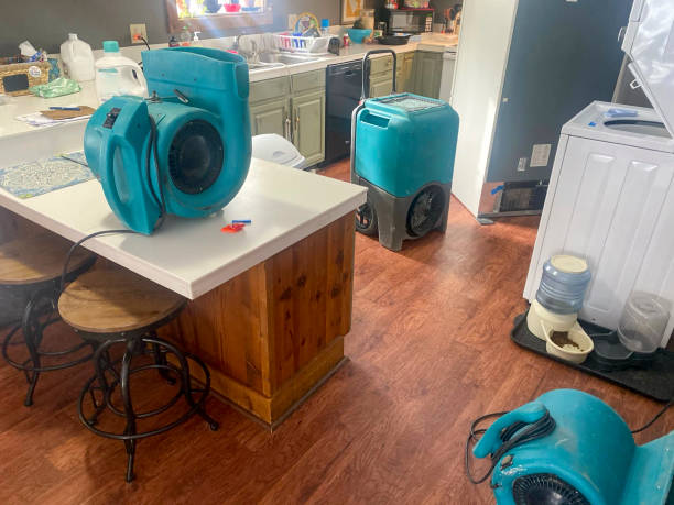 Best Residential water damage restoration  in Great Neck, NY