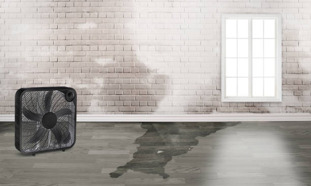 Best Ceiling water damage repair  in Great Neck, NY