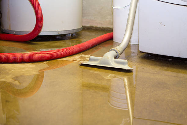 Best Water damage cleanup near me  in Great Neck, NY
