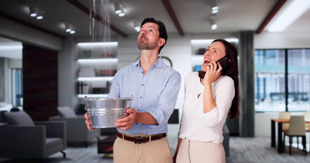 Best Carpet water damage restoration  in Great Neck, NY
