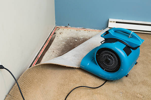 Best Sewage cleanup and water damage restoration  in Great Neck, NY